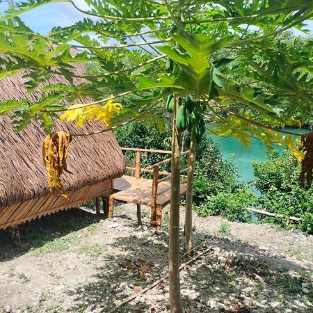 Riu Del Mar Hostel Дауис Экстерьер фото